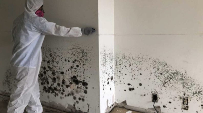 Hunter Construction technician in protective equipment removing mold from a wall